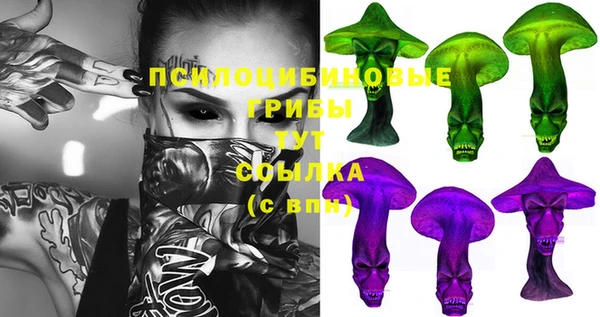 молекула духа Армянск
