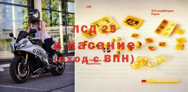 гидра Аркадак