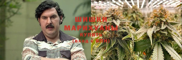 сатива Арсеньев